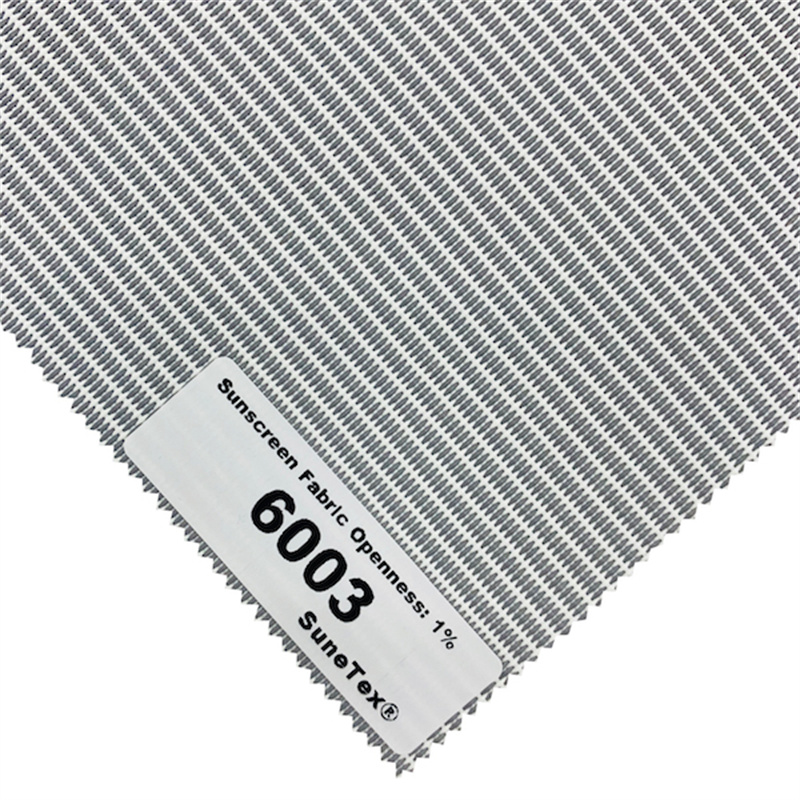 6003