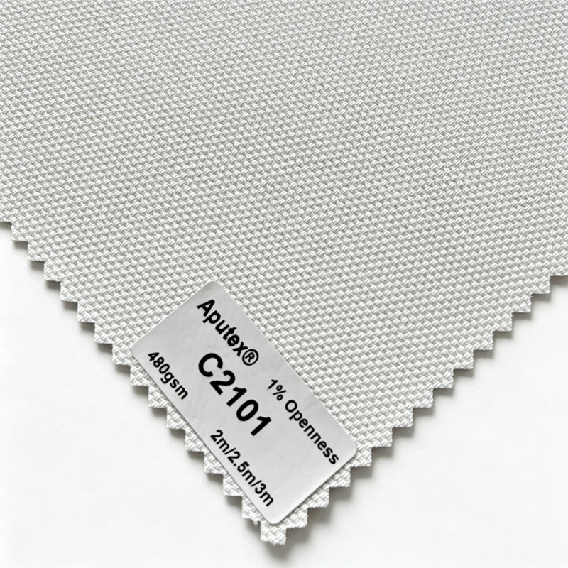C2101