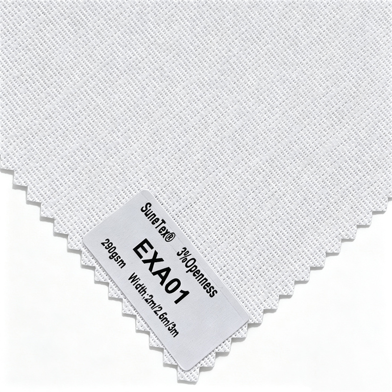 EXA01