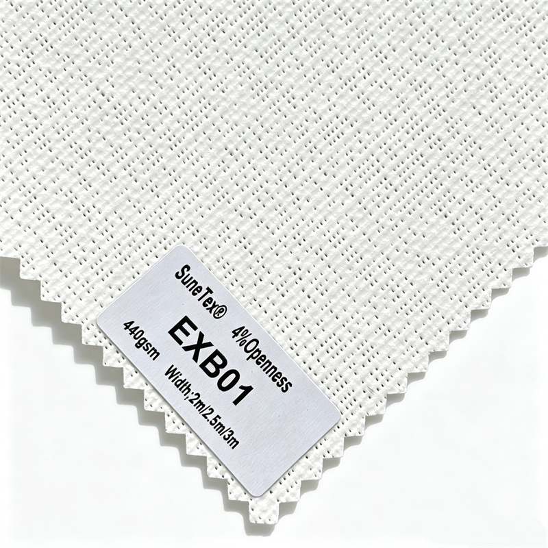 EXB01