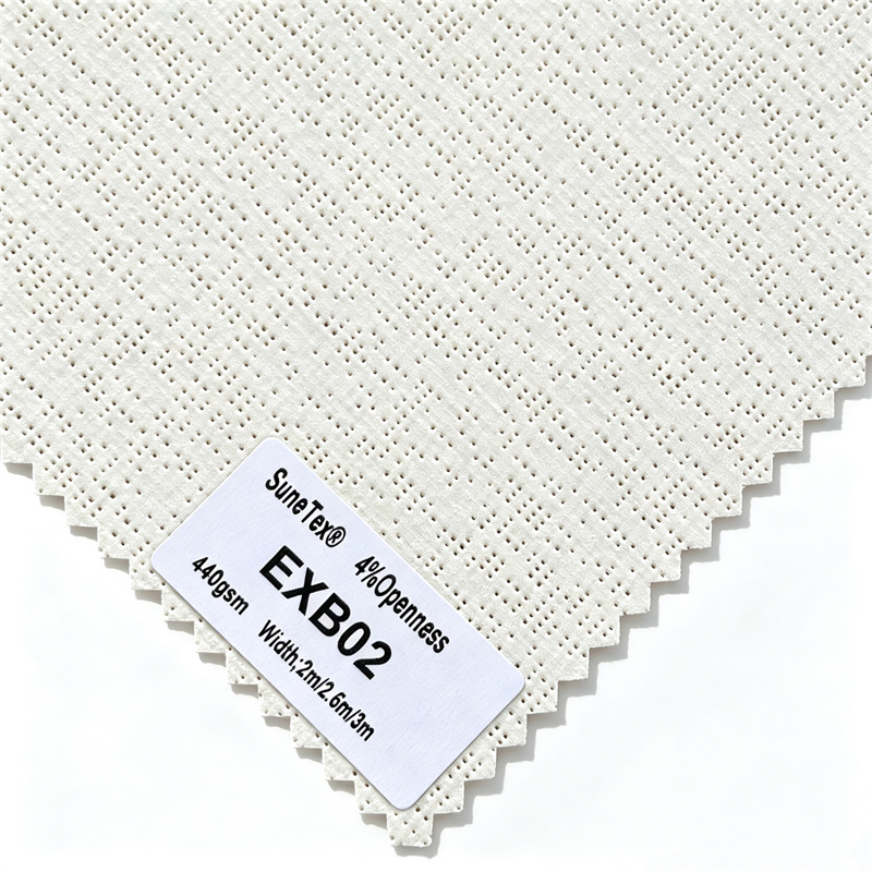 EXB02