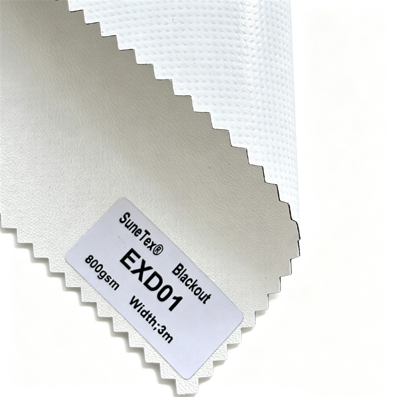 EXD01