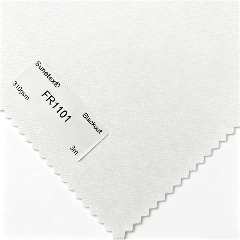 FR1101
