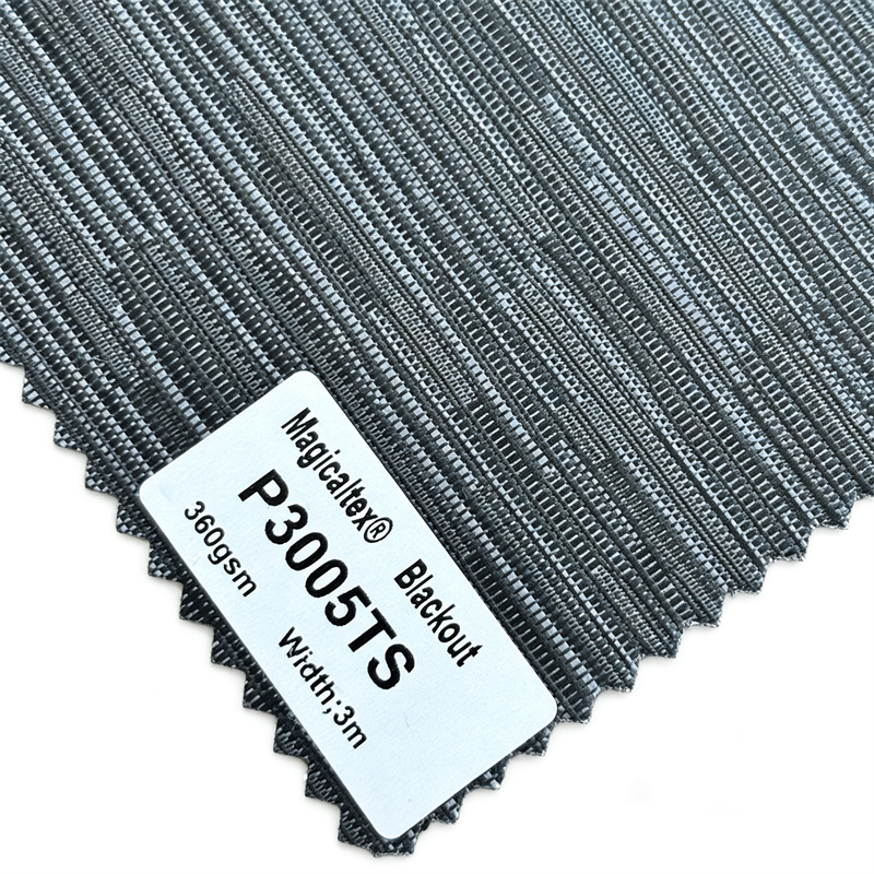 P3005TS
