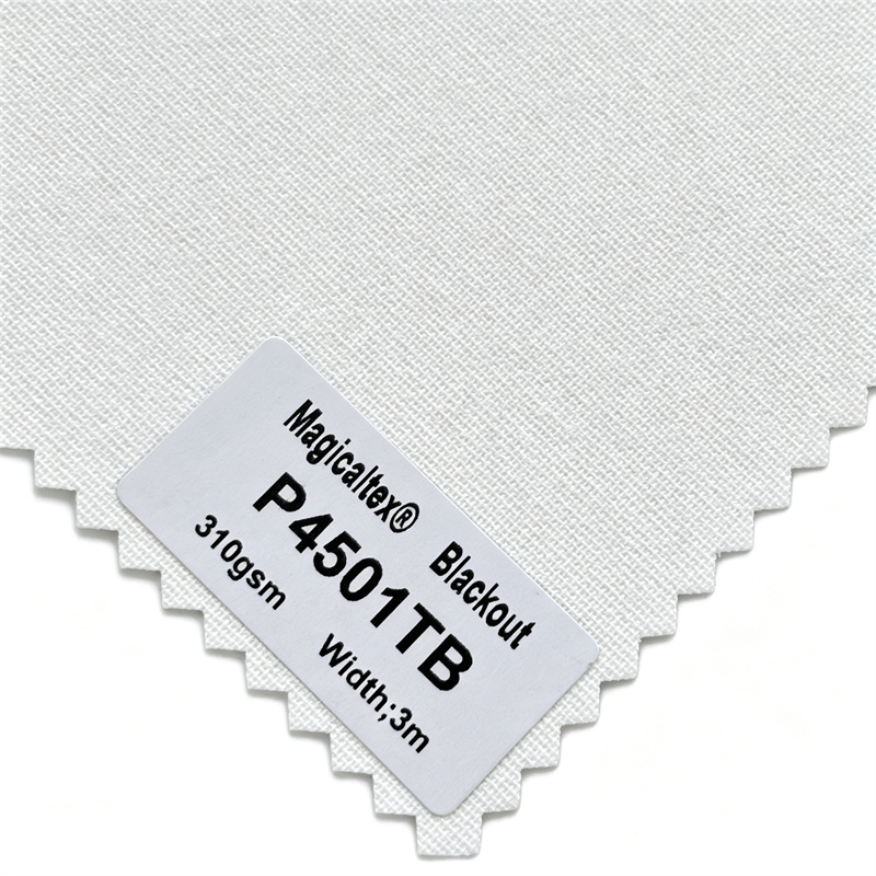 P4501TB