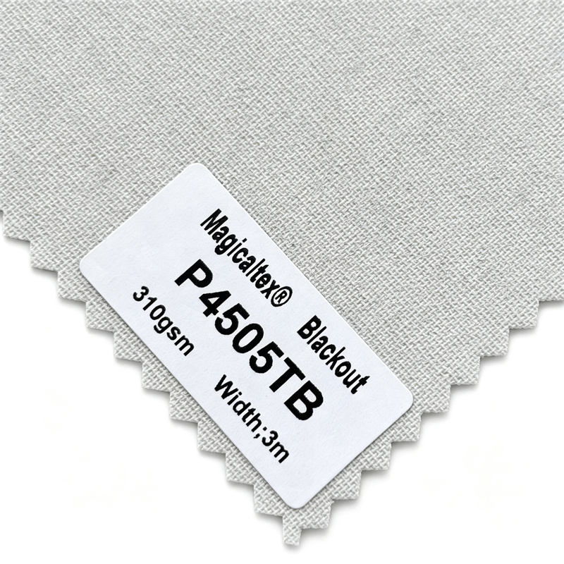 P4505TB