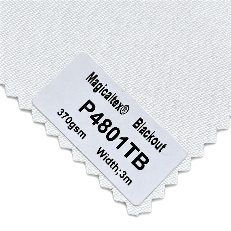 P4801TB