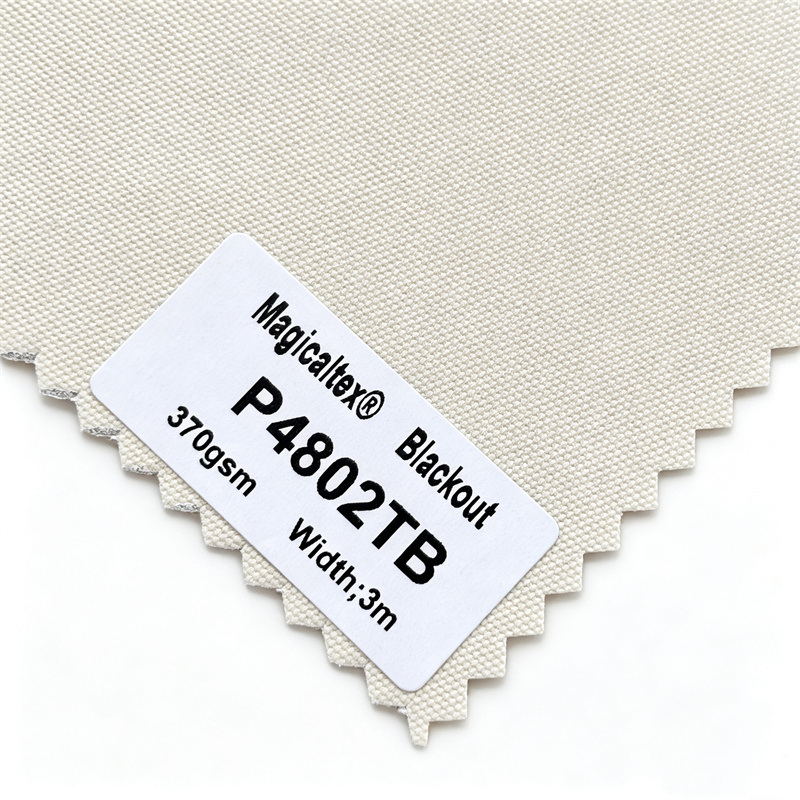 P4802TB