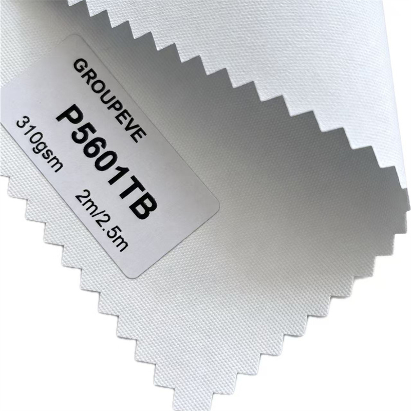 P5601TB