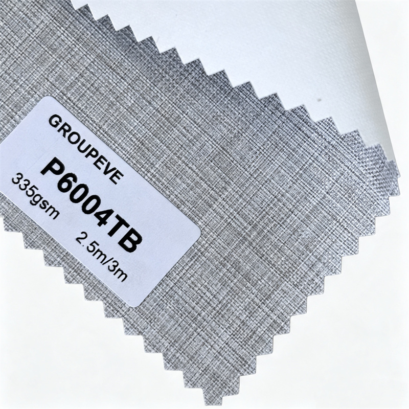 P6004TB