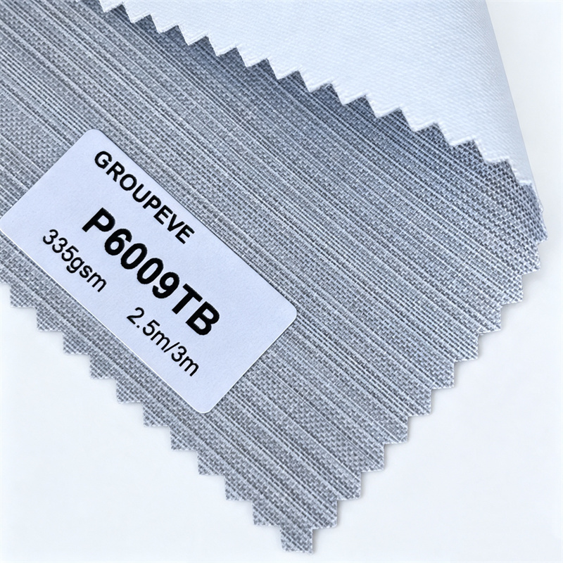 P6009TB