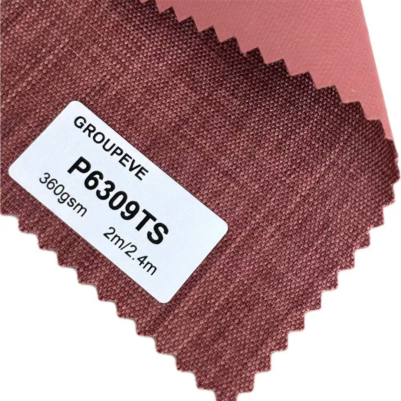 P6309TS