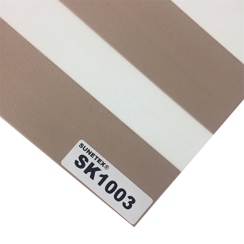 SK1003