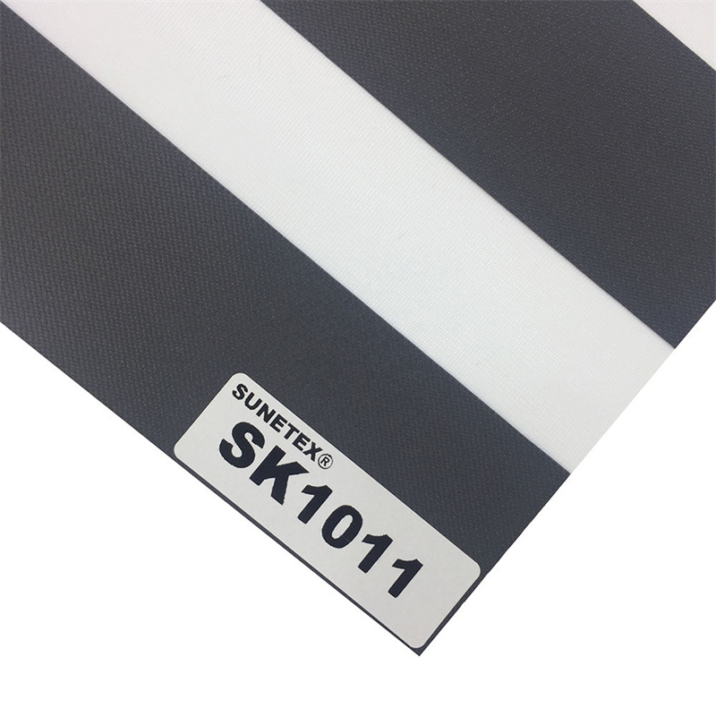 SK1011