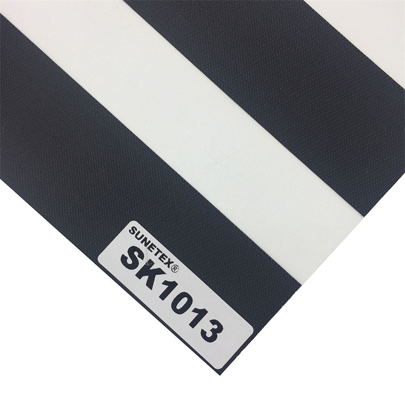 SK1013