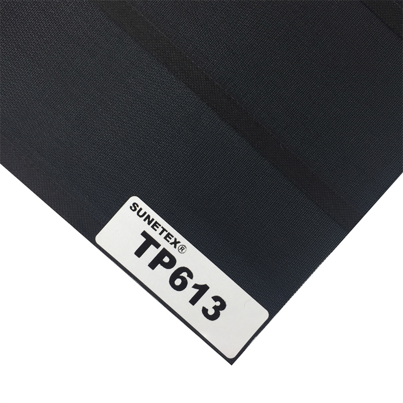 TP613