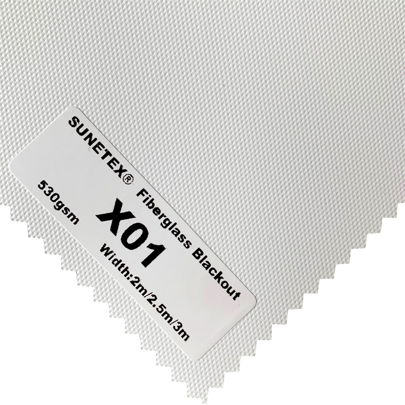 X01